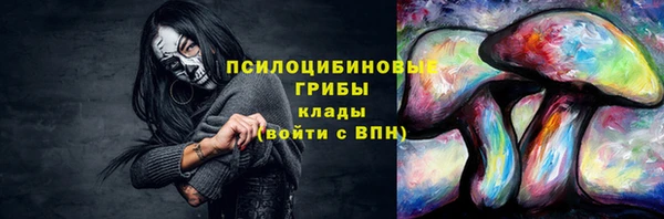 Альфа ПВП Майский