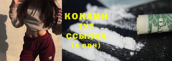 твердый Магас