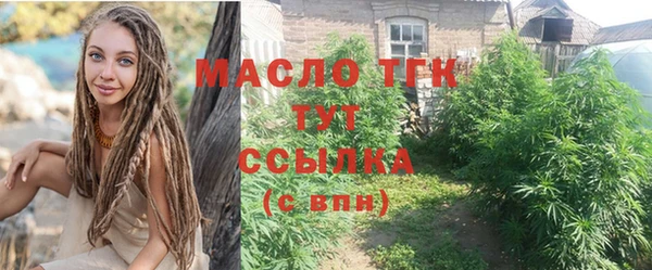 твердый Магас