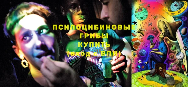 Альфа ПВП Майский