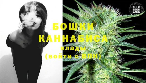 твердый Магас