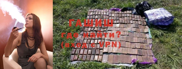 твердый Магас