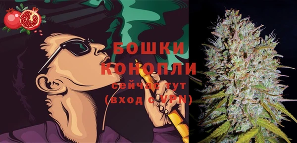 твердый Магас