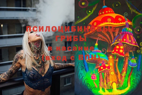 Альфа ПВП Майский
